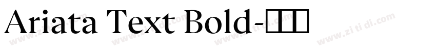 Ariata Text Bold字体转换
